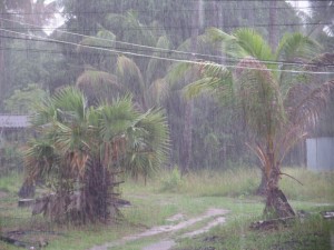 Тропический дождь