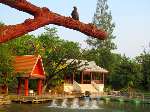 парк в Таиланде