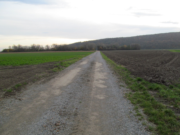 дорога через поля