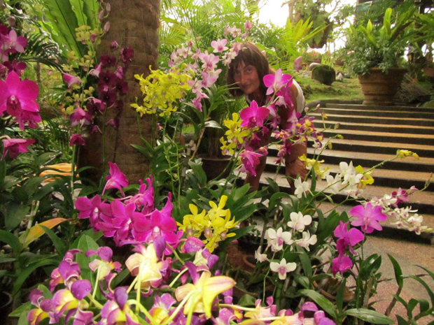 парк орхидей
