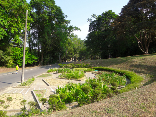 penang botanic gardens