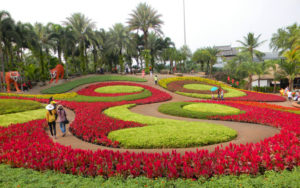 парк Нонг Нуч